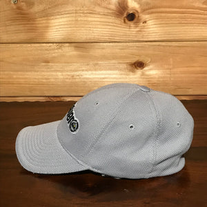 Quiksilver Centre Spellout Flexfit cap
