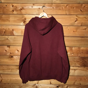 Champion Walsh University Arc Spellout hoodie