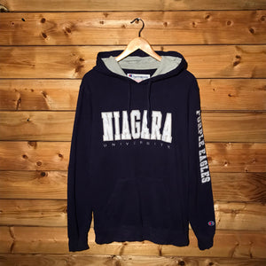 90s Champion Niagara Purple Eagles hoodie